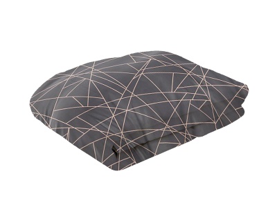Покрывало Cleo "MAESTRO" 160*210 тубус (160/091-MR, Оригинальное,Серый) Покрывало Cleo "MAESTRO" 160*210 тубус (160/091-MR, Оригинальное,Серый)