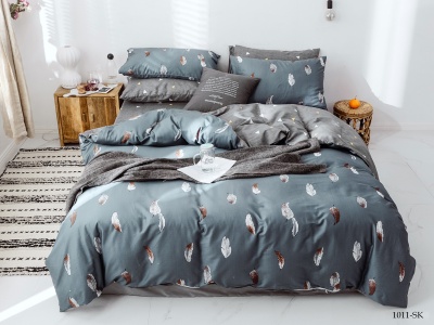 КПБ Cleo сатин набивной "Satin de Luxe" полуторный 150*210*1 160*230*1(±5) 70*70*2(±2) (15/1011-SK, Оригинальное, Мультиколор)