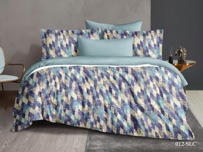 КПБ Cleo сатин набивной "Satin Lux" евро 200*220*1 220*240*1(±5) 50*70*2(±2) 70*70*2(±2) (31/012-SL, Абстракция, Мультиколор) КПБ Cleo сатин набивной "Satin Lux" евро 200*220*1 220*240*1(±5) 50*70*2(±2) 70*70*2(±2) (31/012-SL, Абстракция, Мультиколор)
