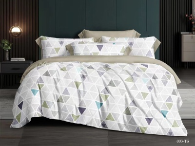 КПБ Cleo тенсель "Soft Tencel" полуторный 150*210*1 160*230*1(±5) 50*70+8*2 (16/003-TS, Геометрия, Мультиколор) КПБ Cleo тенсель "Soft Tencel" полуторный 150*210*1 160*230*1(±5) 50*70+8*2 (16/003-TS, Геометрия, Мультиколор)