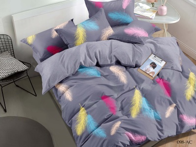 КПБ Cleo полисатин "Art Color" полуторный 145*215*1 150*220*1(±5) 70*70*2(±2) (15/098-AC, Оригинальное, Мультиколор)