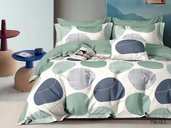 КПБ Cleo сатин набивной "Satin euro max" полуторный 145*215*1 160*230*1(±5) 50*70*2(±2) (16/758-SLL, Круги, Мультиколор)